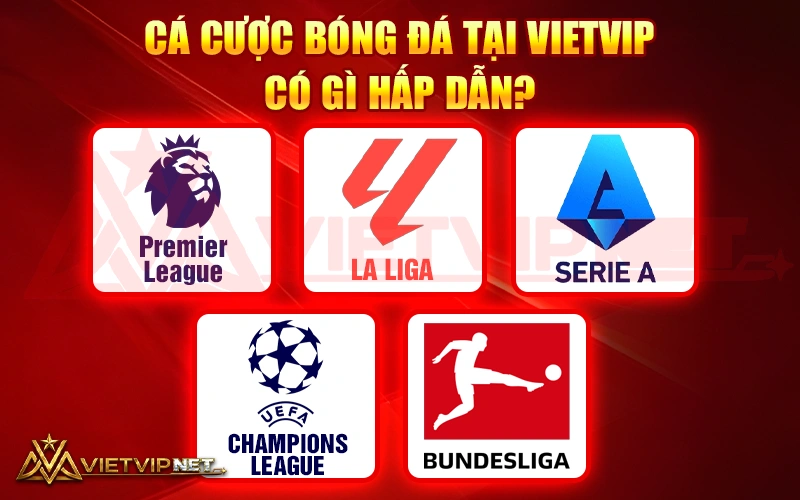 Cá cược bóng đá (体育博彩)