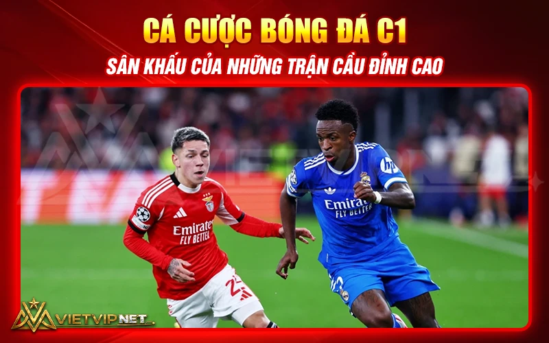 Cá cược bóng đá C1