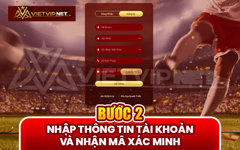 Nhập thông tin tài khoản đăng ký Vietvip