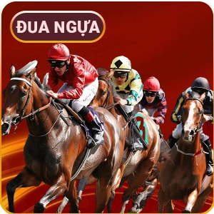 đua ngựa