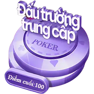 Đấu trường trung cấp