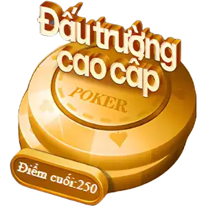 Đấu trường cao cấp